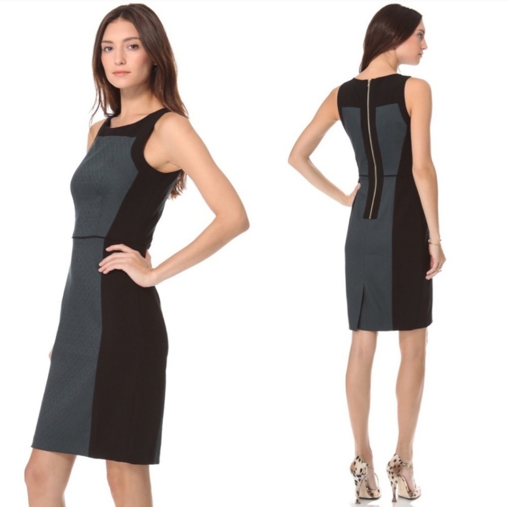 Club Monaco Dress